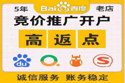 某某SEM团队成功案例：广告投放策略揭秘
